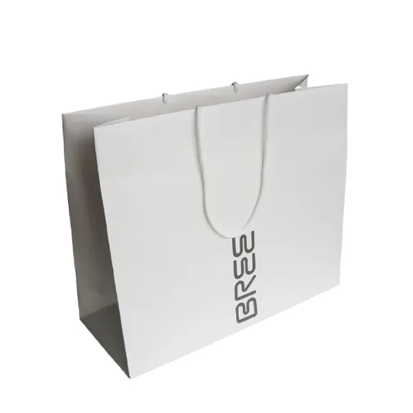 Túi Giấy Mua Sắm intBOX